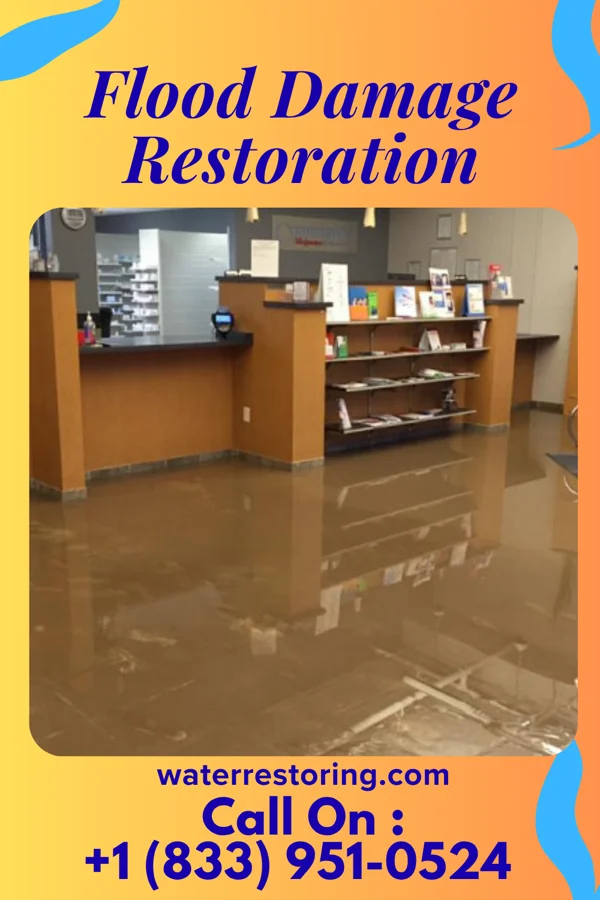 Flood Damage Restoration in Perry, MI
