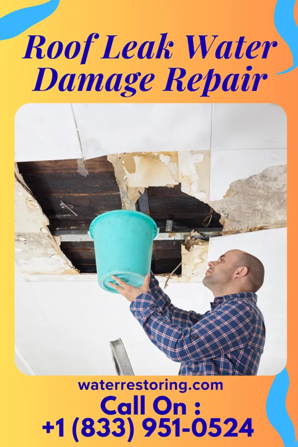 Roof Leak Water Damage Repair in Perry, MI