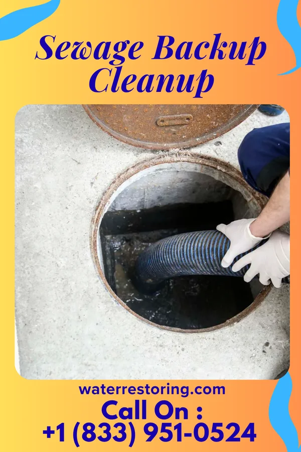 Sewage Backup Cleanup in Perry, MI