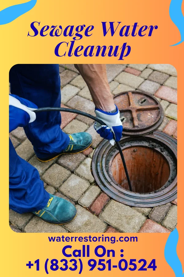 Sewage Water Cleanup in Perry, MI